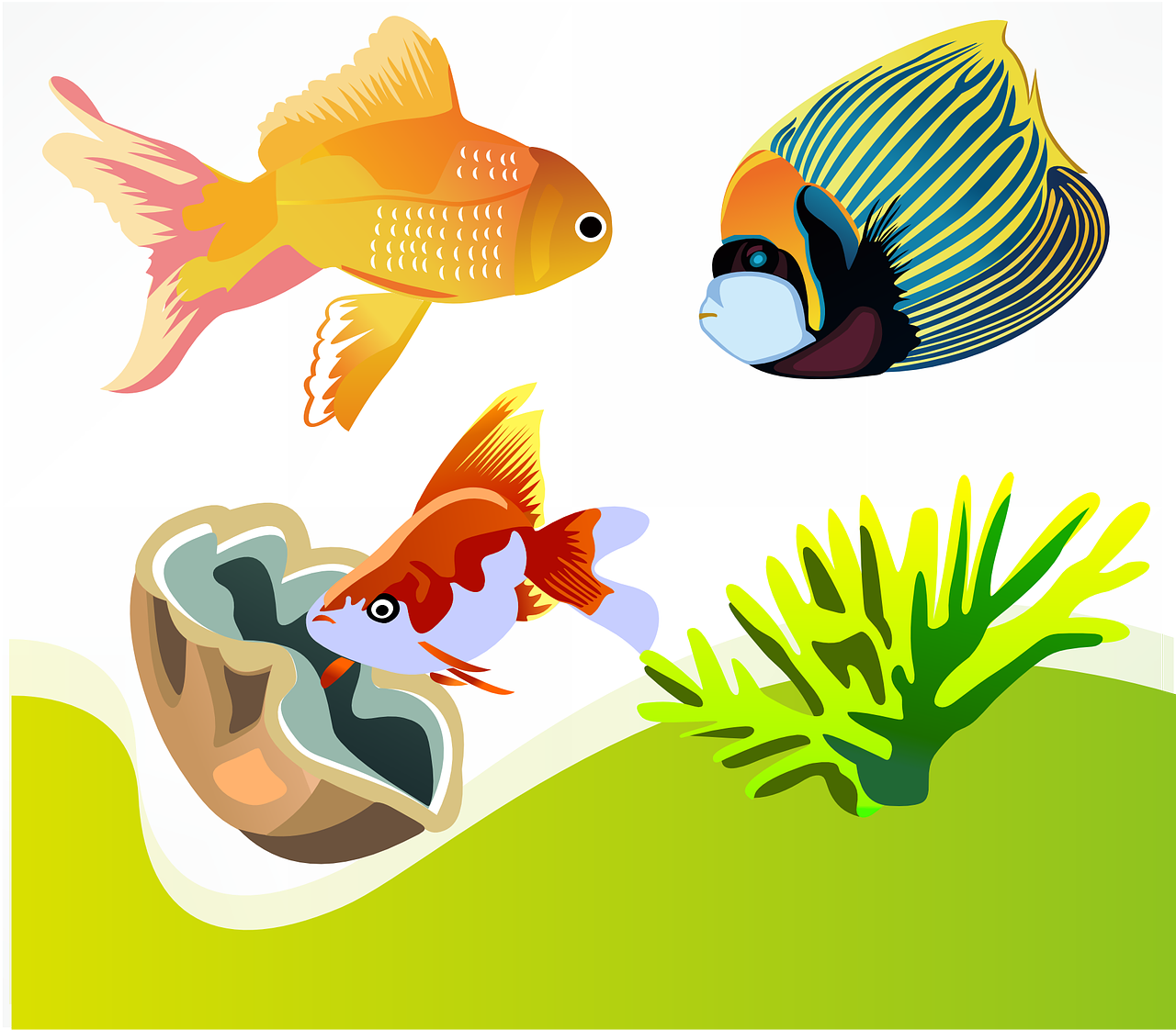 Peces