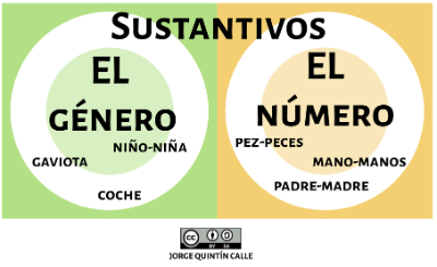Sustantivos: género y número