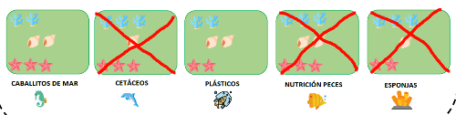 Cinco tarjetas verdes con corales azules en la parte superior, caracolas marrones en el medio y estrellas rojas en la parte inferior