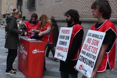 Grup de manifestantes por los derechos de los animales
