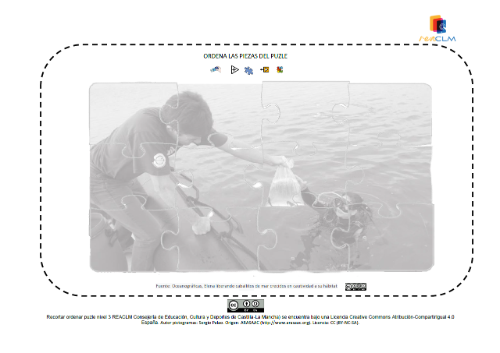 Elena liberando caballitos de mar crecidos en cautividad a su hábitat Imagen de una oceanógrafa devolviendo al mar dos caballitos crecidos en cautividad