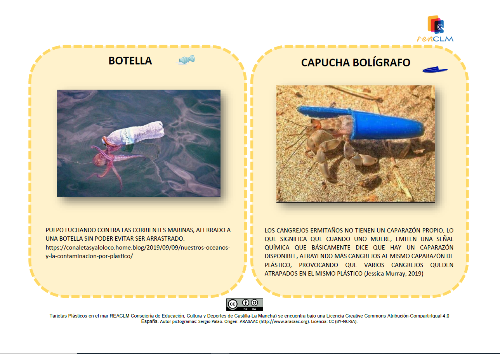 Tarjetas efectos del plástico Un pulpo a la deriva con una botella de plástico y un cangrejo ermitaño con una capucha de un bolígrafo por caparazón
