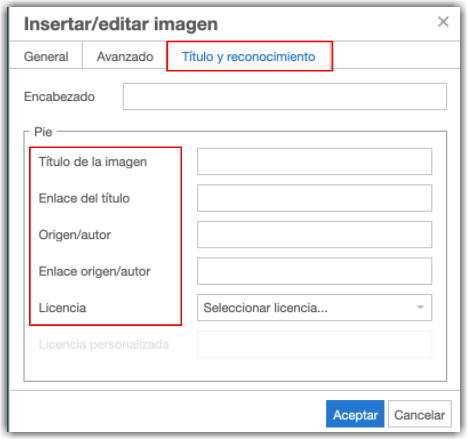 Campos a rellenar de título y reconocimiento de una imagen