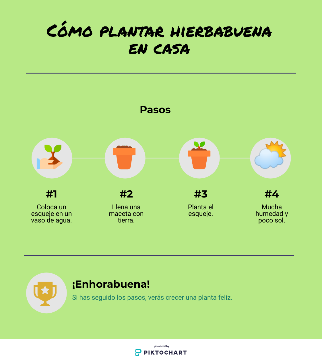 Cómo plantar hierbabuena en casa Inforgrafía en 4 pasos: Cómo plantar hierbabuena en casa
