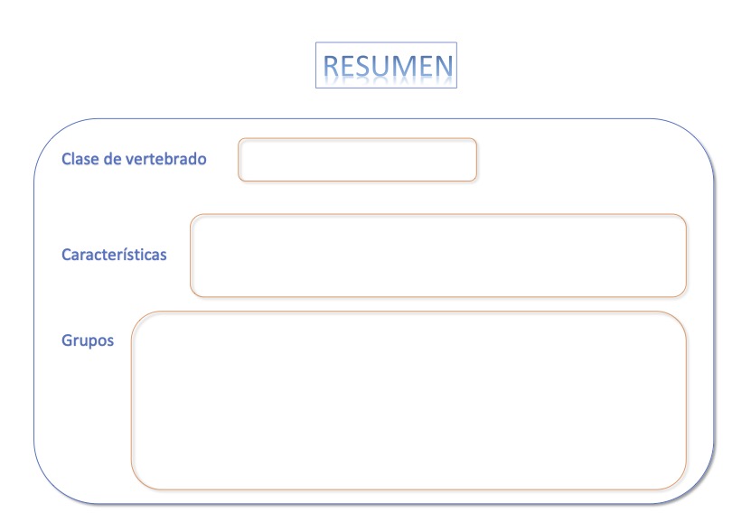 Resumen Vertebrados