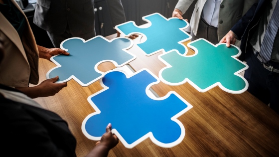 Trabajo en equipo