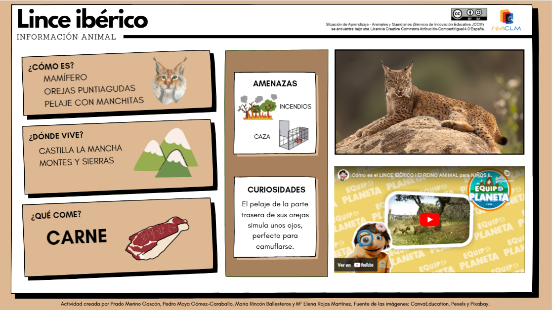 Ficha del Lince Ibérico, en la que aparece descrito en la parte izquierda,  cómo es, dónde vive y qué come. Además, se incluyen algunas amenazas por la que pueda extinguirse,  y curiosidades sobre el animal. También, en la parte derecha aparece su foto, y un video explicativo sobre las características del Lince.