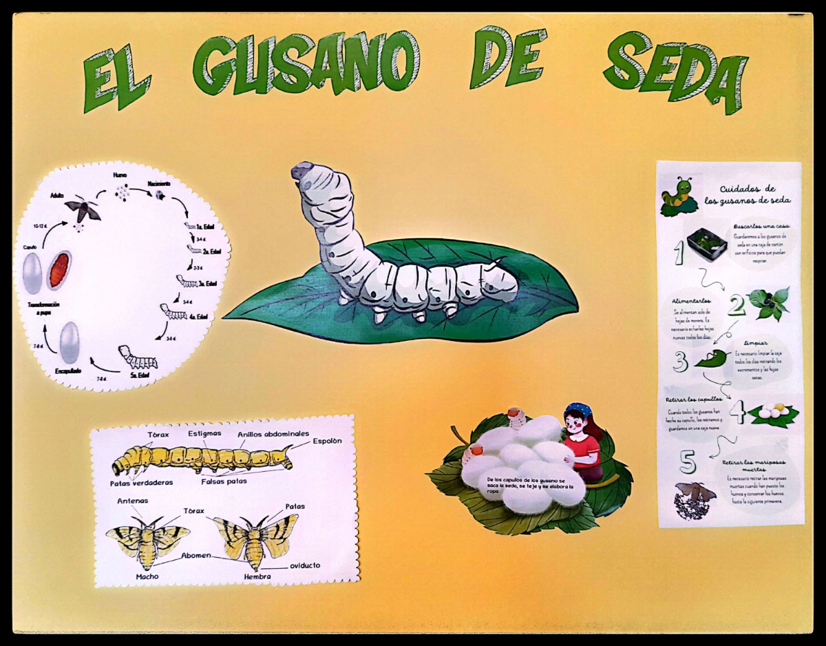 Mural del gusano de seda