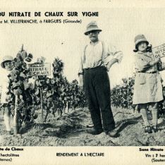 Nitrato de Chaux