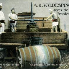 A.R. Valdespino y Hno.