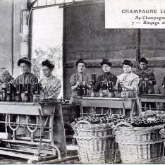 Champagne Louis Royer