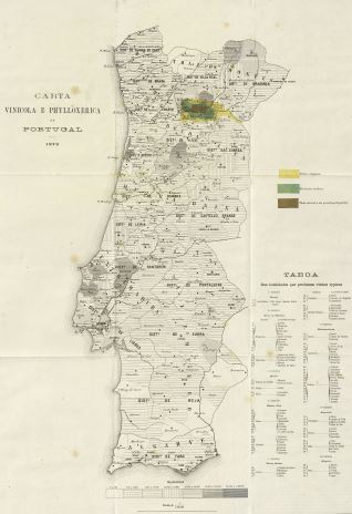 Mapas y planos - 1879