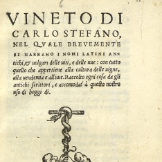 Vineto di Carlo Stefano, nel quale brevemente, [etc.]