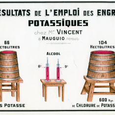 Publicidad de fertilizante cloruro de potasio. Maugio (Francia). [s.f.]