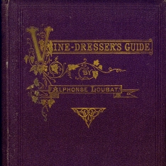 The American vine dresser's guide