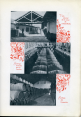 Folleto de publicidad "Montilla y sus vinos famosos" de Bodegas J. Cobos. 1949