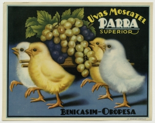 Cartel publicitario de uvas moscatel - Parra