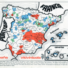 Mapa de la España Vitivinícola