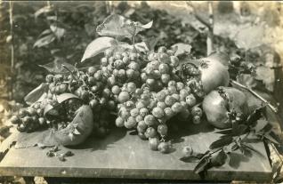 Racimos de uva y frutas